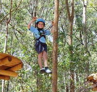 TreeTops Newcastle - Accommodation Mermaid Beach