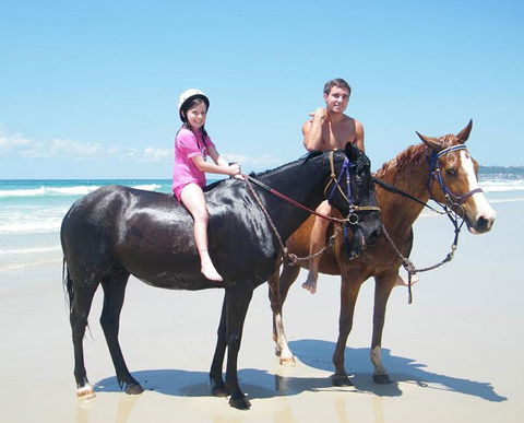 Pegasus Park Equestrian Centre - Accommodation Mermaid Beach 1