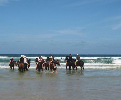 Pegasus Park Equestrian Centre - Accommodation Mermaid Beach 2