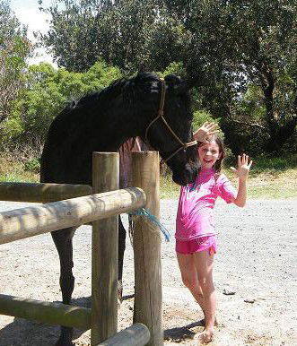 Pegasus Park Equestrian Centre - Accommodation Mermaid Beach 3