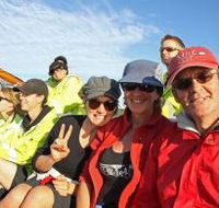Byron Bay Whale Watching - Accommodation Mermaid Beach