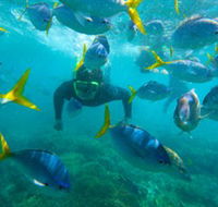 G Adventures - Accommodation Mermaid Beach