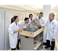 Behind the Scenes Tours at Australian Museum - Accommodation Mermaid Beach