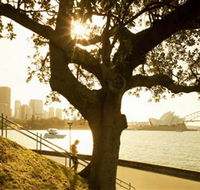 Royal Botanic Gardens and the Domain - Accommodation Mermaid Beach