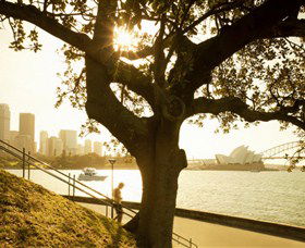 Royal Botanic Gardens And The Domain - Accommodation Mermaid Beach 0