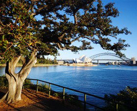 Royal Botanic Gardens And The Domain - Accommodation Mermaid Beach 3