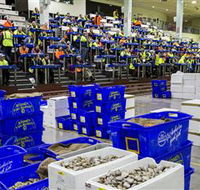 Sydney Fish Market - Accommodation Mermaid Beach