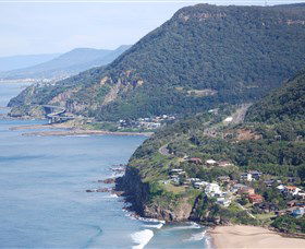 South Coast Scenic Tours - Accommodation Mermaid Beach 5