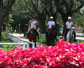 Centennial Parklands Horse Ride - Accommodation Mermaid Beach 1
