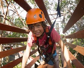 Wild Ropes At Taronga Zoo - Accommodation Mermaid Beach 1