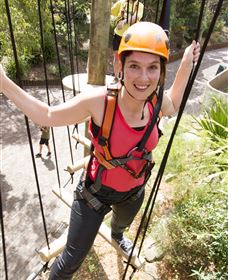 Wild Ropes At Taronga Zoo - Accommodation Mermaid Beach 3