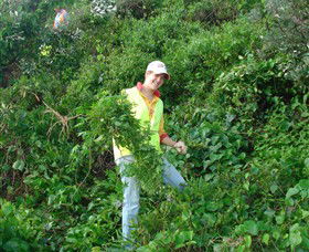 Conservation Volunteers Australia - Sydney - Accommodation Mermaid Beach 2