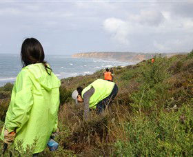 Conservation Volunteers Australia - Sydney - Accommodation Mermaid Beach 5