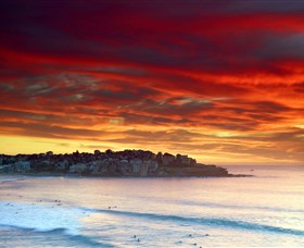 Aquabumps - Accommodation Mermaid Beach 8