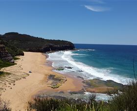 Blue Bottle Tours - Accommodation Mermaid Beach 1