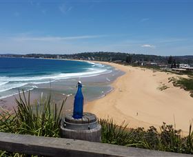 Blue Bottle Tours - Accommodation Mermaid Beach 0