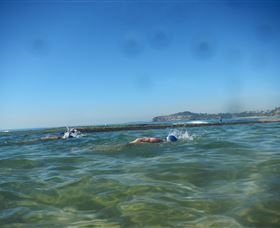 Blue Bottle Tours - Accommodation Mermaid Beach 4
