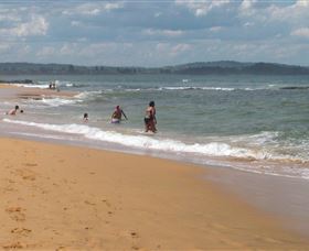 Blue Bottle Tours - Accommodation Mermaid Beach 3