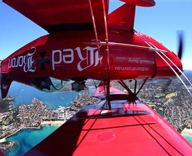 Red Baron Adventure Flights - Accommodation Mermaid Beach 1