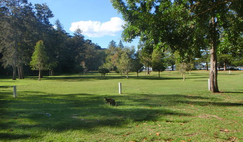 The Basin Picnic Area - Accommodation Mermaid Beach 1