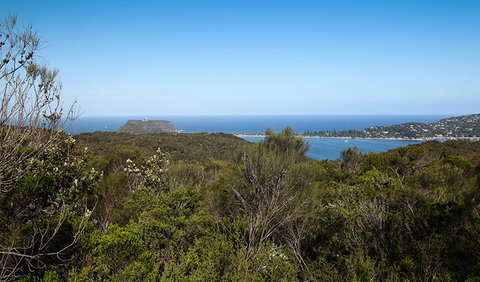 Aboriginal Heritage Walk - Accommodation Mermaid Beach 1
