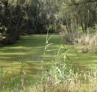 Second Ponds Creek walk - Accommodation Mermaid Beach
