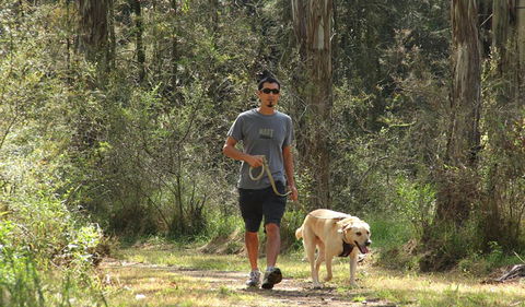 Second Ponds Creek Walk - Accommodation Mermaid Beach 3