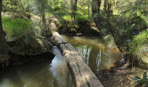 Second Ponds Creek Walk - Accommodation Mermaid Beach 2