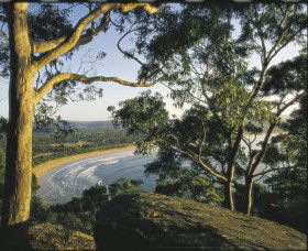 Ocean Beach Umina - Accommodation Mermaid Beach 0