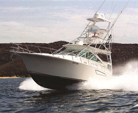 1300 Big Fish - Accommodation Mermaid Beach 0