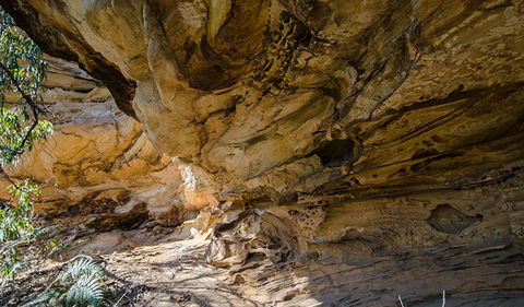 Marramarra National Park - Accommodation Mermaid Beach 0