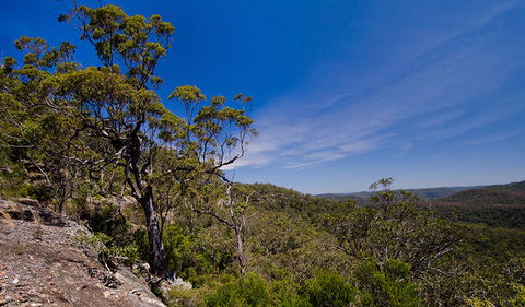 Marramarra National Park - Accommodation Mermaid Beach 1