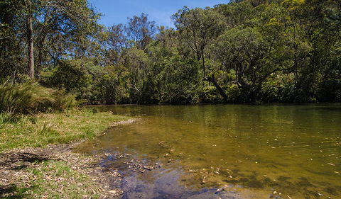 Marramarra National Park - Accommodation Mermaid Beach 2