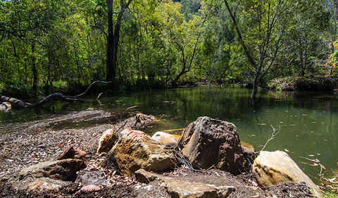 Marramarra National Park - Accommodation Mermaid Beach 3