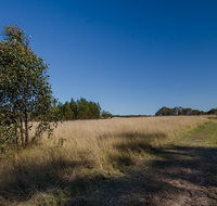 Scheyville horse riding trails - Accommodation Mermaid Beach