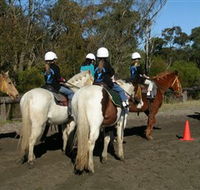Darkes Forest Riding Ranch - Accommodation Mermaid Beach