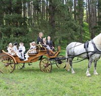 Classic Carriage Drives - Accommodation Mermaid Beach