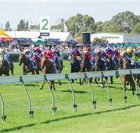 Morphettville Racecourse - Accommodation Mermaid Beach