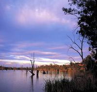 Loch Luna Game Reserve and Moorook Game Reserve - Accommodation Mermaid Beach