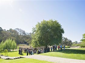 Howard Vineyard - Accommodation Mermaid Beach 1
