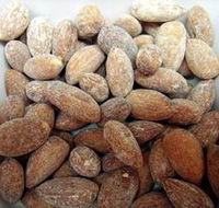 Almondco Almond Hut - Accommodation Mermaid Beach