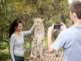 Monarto Open Range Zoo - Accommodation Mermaid Beach 1