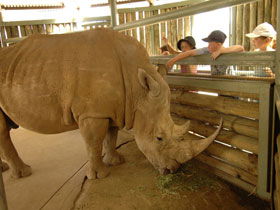 Monarto Open Range Zoo - Accommodation Mermaid Beach 2