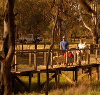 Loxton's Drives Walks and Trails - Accommodation Mermaid Beach