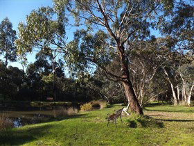 Mount Compass And District Produce And Tourist Trail - Accommodation Mermaid Beach 3