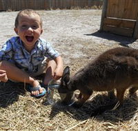 Animal Farm Goolwa - Accommodation Mermaid Beach