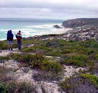 Murray Lagoon - Cape Gantheaume Conservation Park - Accommodation Mermaid Beach