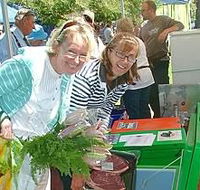 Victor Harbor Farmers Market - Accommodation Mermaid Beach
