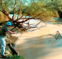 Charleville - Ward River Fishing Spot - Accommodation Mermaid Beach