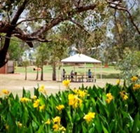 Charleville - Graham Andrews Parklands - Accommodation Mermaid Beach